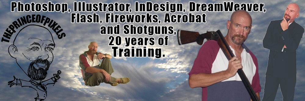 ThePrinceOfPixels.com